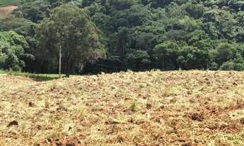 Imagem: Lote/Terreno para venda possui 1000 metros