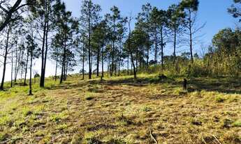 Imagem: Imóvel para venda com 1000 metros quadrados