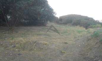 Imagem 6: área - Taquaral - Campinas