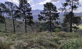 Imagem 2: Oportunidade Terrenos na Fazenda Suiça - Teresópolis RJ