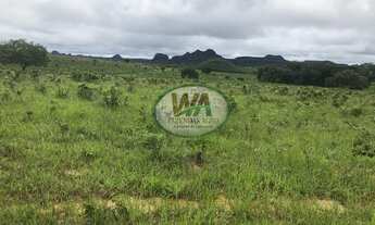 Imagem 7: Fazenda com preço de oportunidade em Recursolândia- TO