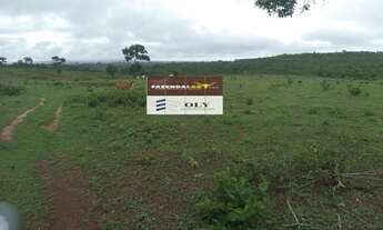 Imagem 5: Fazenda Extra município General Carneiro MT - Área de 102 Alqueires !