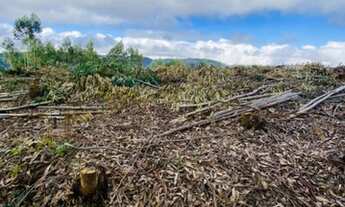 Imagem 2: Várias Unidades Disponível Venha Adquirir