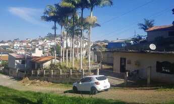 Imagem 3: Terreno à venda, 817 m² por R$ 550.000,00 - Coqueiros - Florianópolis/SC