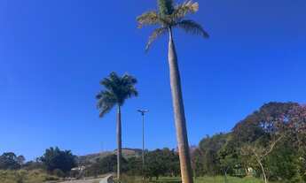 Imagem 5: R5- Terrenos de 1.000m2 para investimento em Mairiporã