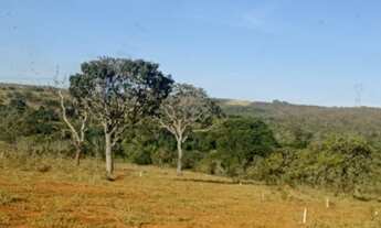 Imagem 3: Vendo chácaras financiadas