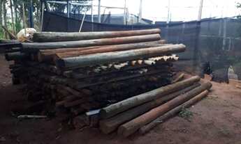 Imagem 7: Sitio 5.6 alqueires 30 km de Uberlândia