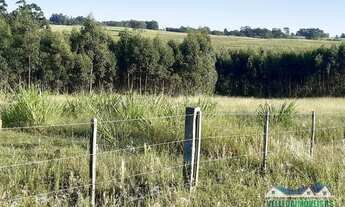 Imagem 2: Sítio em Águas claras 3 hectares somente 4 km do asfalto