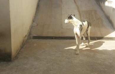 Imagem 7: Alugo casa em Mateus Leme