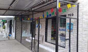 Imagem 4: Consultorio veterinario e Pet Shop