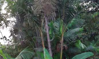 Imagem 5: VENDO TERREINO Terreno / lote com venda por R$35.000