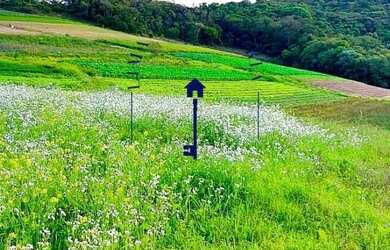 Imagem 5: Realize seu sonho casa no campo - Cotia - SP