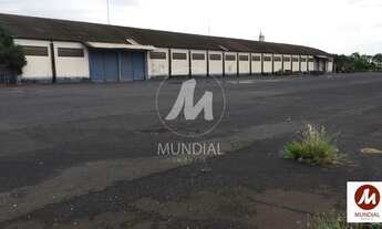 Imagem 4: Salão/Galpão (salão - térreo