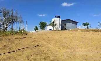 Imagem 5: Sítio Chácara com venda por R$150.000