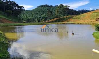 Imagem 2: CHÁCARA EM CAMPO ALEGRE/SC