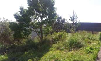 Imagem: Caxias do Sul - Terreno Padrao - Cinquentenario