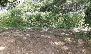 Imagem 4: Terreno - Sousas - Campinas