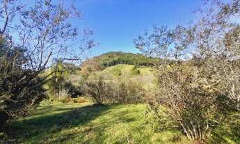 Imagem 6: Otima chácara para pecuária, localizada em Taquara!!