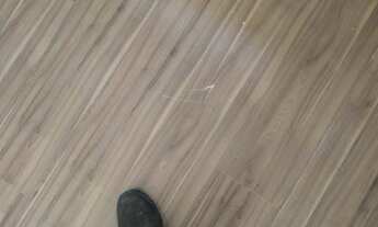 Imagem 4: Apartamento para Locação em São Paulo, Vila Nova Cachoeirinha, 2 dormitórios, 2 banheiros