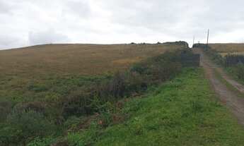 Imagem 2: Lotes na terra da neve e maçã em São Joaquim SC