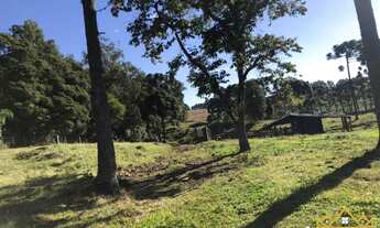 Imagem 4: Sítio / Chácara para Venda em Gramado, Serra Grande