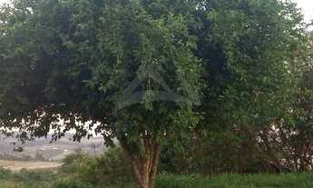 Imagem 6: Terreno - Loteamento Caminhos de São Conrado (Sousas) - Campinas