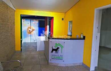 Imagem 3: Ponto comercial - Cambuí - Campinas
