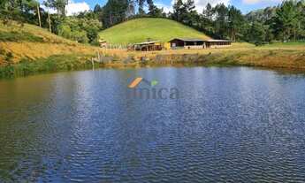 Imagem 3: CHÁCARA EM CAMPO ALEGRE/SC