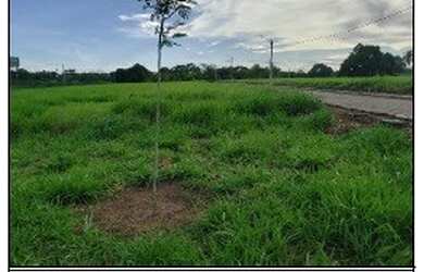 Imagem 4: LOT PRIVE CAMPO GRANDE - Oportunidade Única em LIMOEIRO - PE | Tipo: Terreno