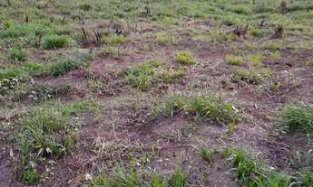 Imagem: Sítio medindo 50 de frente por 60 de fundo