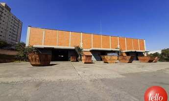 Imagem: São Paulo - Galpão/Depósito/Armazém