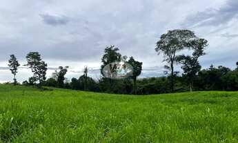 Imagem 5: Fazenda com terras de pretas de cultura