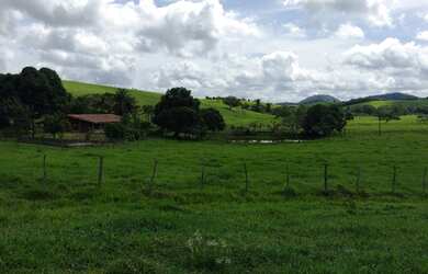 Imagem: Fazenda/Sítio/Chácara para venda possui