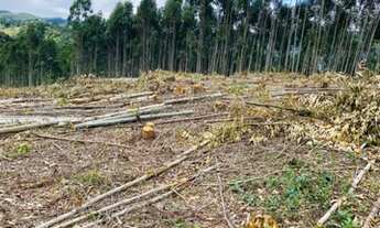 Imagem 7: R5- Fazenda/Sítio/Chácara para venda tem 2500 metros quadrados com 3 quartos