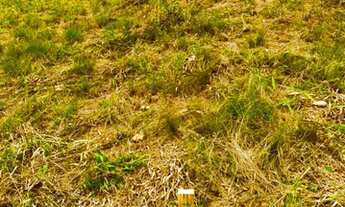 Imagem 7: Lote/Terreno para venda com 1000 metros quadrados em Barreiro - Mairiporã - SP