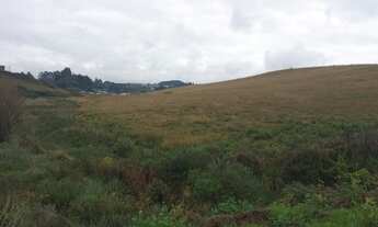 Imagem 2: Lote/Terreno para venda com 160 metros quadrados em Centro - São Joaquim - SC