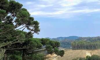 Imagem 2: CAXIAS DO SUL - Terreno Padrão - Desvio Rizzo