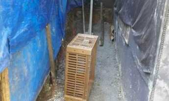 Imagem 6: Barraco no morro