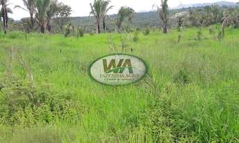 Imagem 5: Fazenda com grande potencial de apascentamento de gado