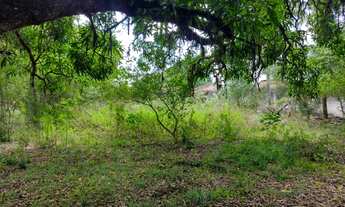 Imagem 3: Chácara para venda com 2700metros quadrados com 3 quartos em Santos Dumont - Maceió - Alag