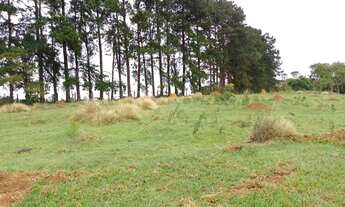 Imagem 6: Venda-se terreno na cidade de Igaratá