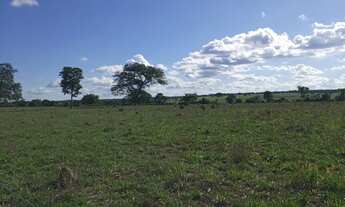 Imagem 5: Fazenda Dupla aptidão Município Araguapaz- GO