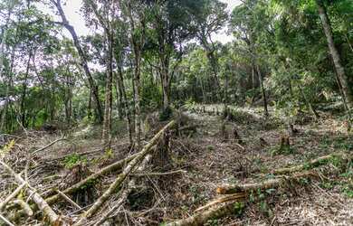 Imagem 2: Terreno em Piraquara - ARYA 1