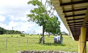 Imagem 4: Sitio com 40.000m² em Barra de pojuca- Porteira Fechada