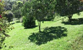 Imagem 2: São Lourenço da Serra - Chácara - Girassol