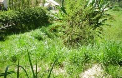 Imagem 4: Terreno - Sítios de Recreio Gramado - Campinas