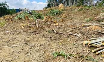 Imagem 3: Aqui está seu terreno do sonho