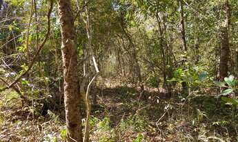 Imagem 6: Chácaras 20 mil Mt com rio das almas últimas unidades