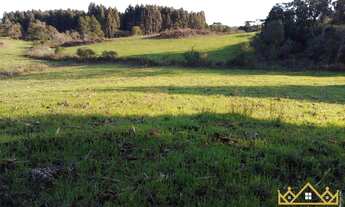 Imagem 3: Sítio / Chácara para Venda em Três Coroas, Serra Grande