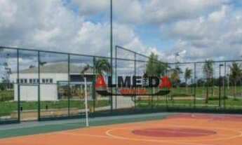 Imagem 5: Jardim de Marselha